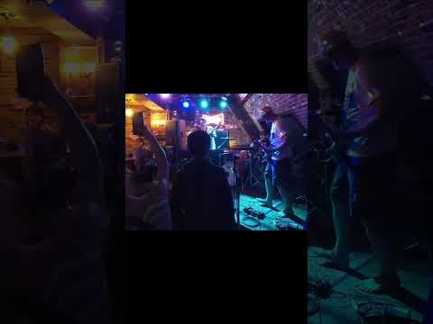 Zensø playing live — 1